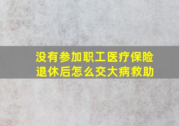 没有参加职工医疗保险 退休后怎么交大病救助